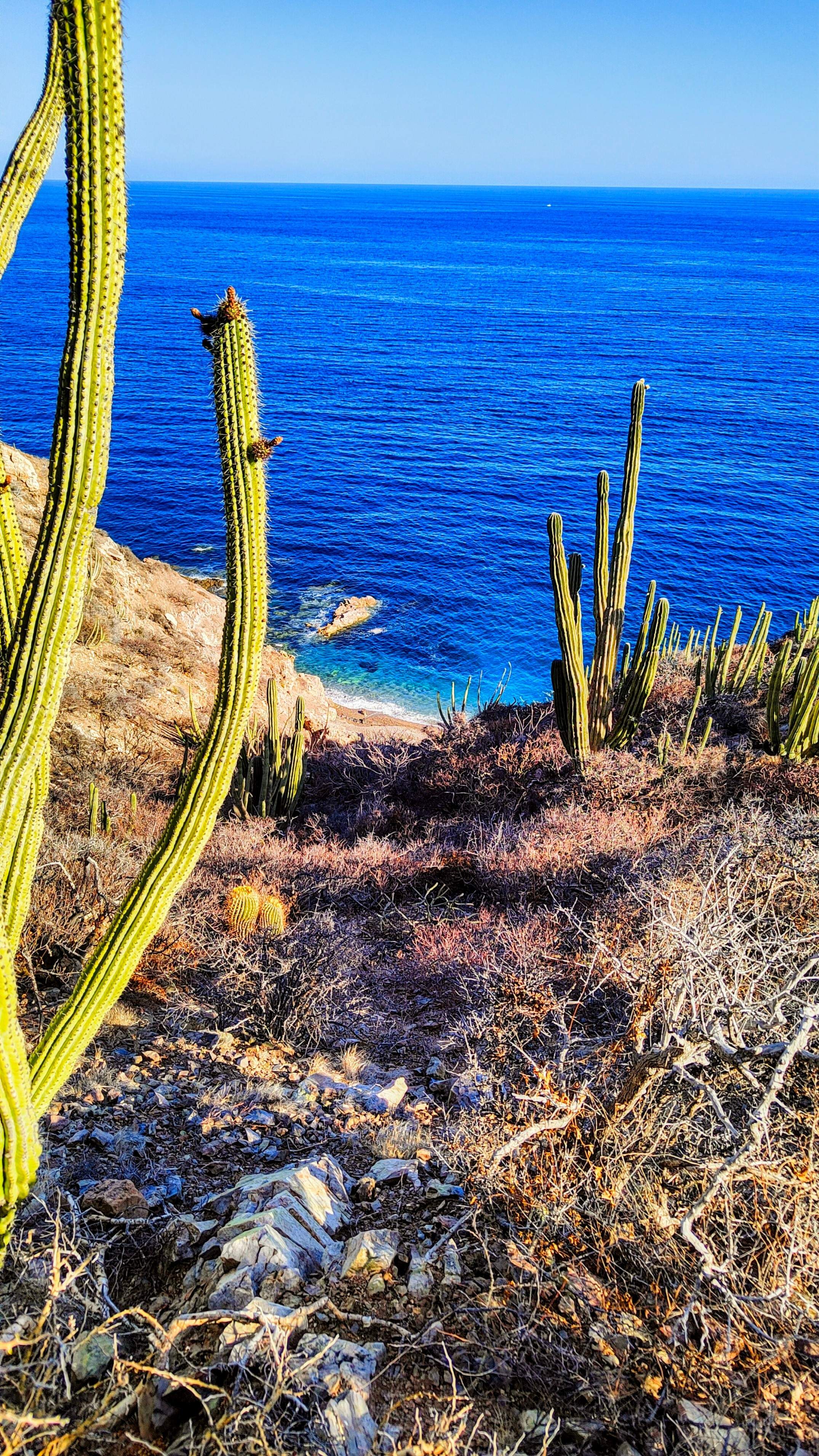 Paisaje de San Carlos, Sonora